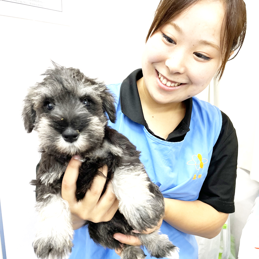 ２年生は子犬、１年生は成犬のお世話☆